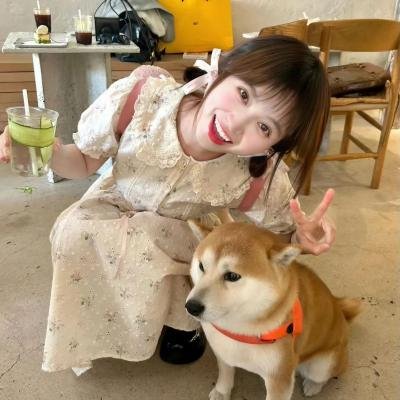 求职记